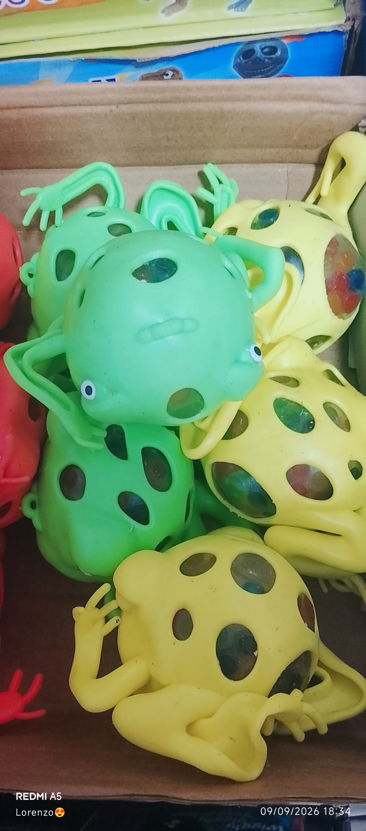 Squishi rana x12