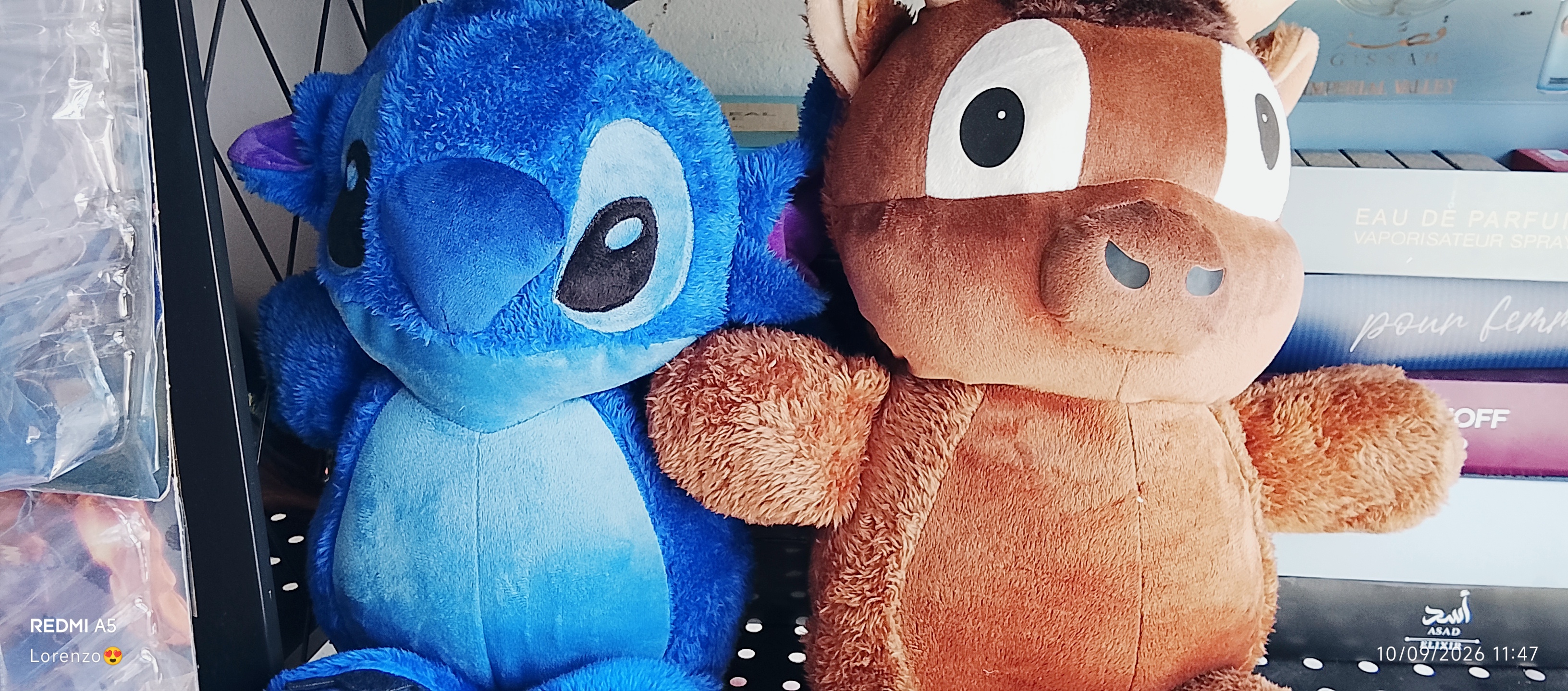 Vaca y Stitch corredores