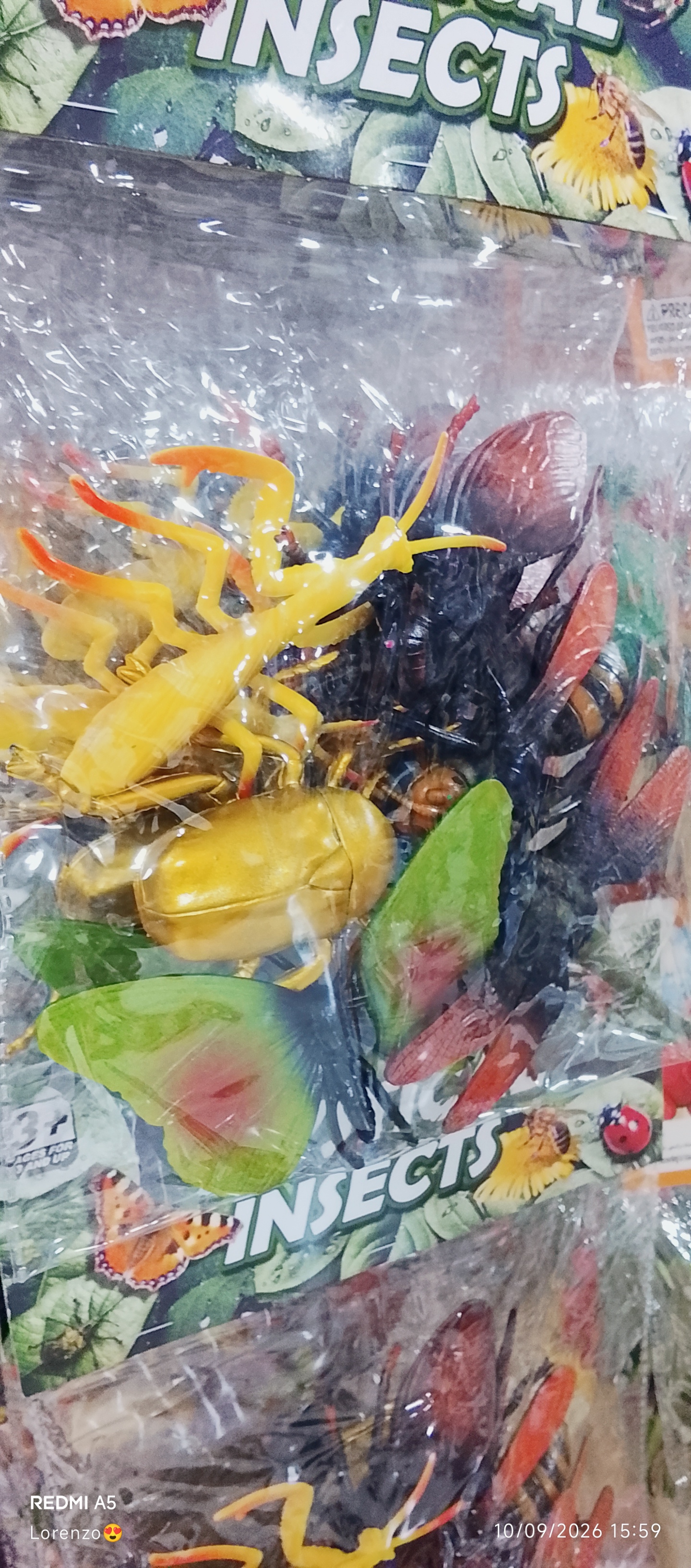 Bichitos x6